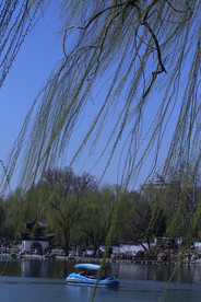 公园风景 