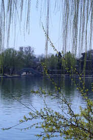 公园风景 