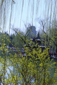 公园风景 