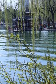 公园风景  