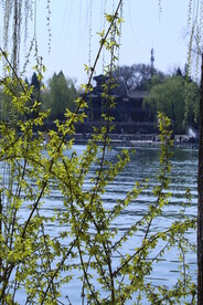 公园风景  