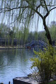 公园风景 