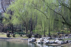 公园风景 