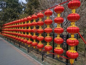 公园风景