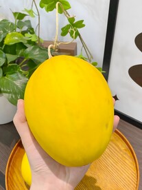 冰糖蜜瓜