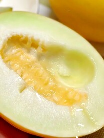 冰糖蜜瓜