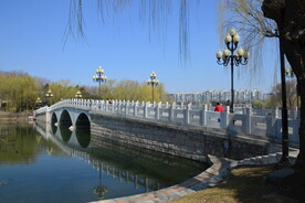公园风景