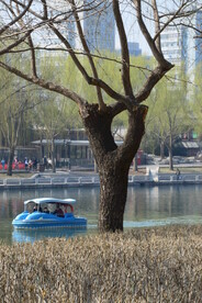 公园风景 