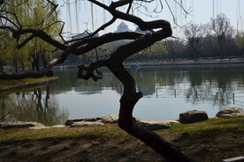 公园风景