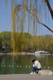 公园风景 