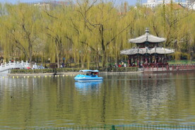 公园风景