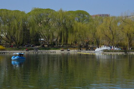 公园风景 