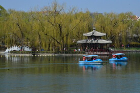 公园风景 