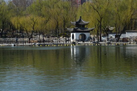 陶然亭风景 