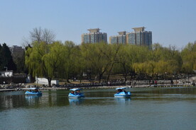 公园风景