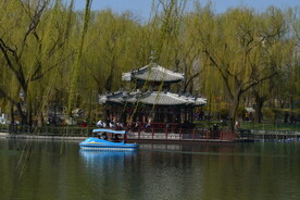 公园风景 
