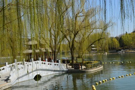 公园风景
