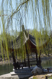 公园风景