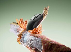 C4D模型 鼠标