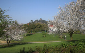 辰山植物园