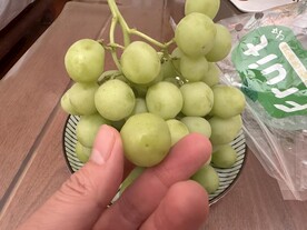 葡萄