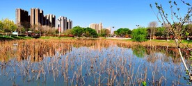 湖