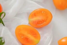 番茄
