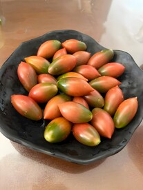 番茄