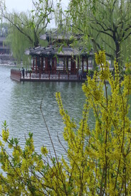 公园风景 