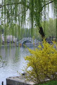 公园风景  