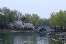 公园风景 
