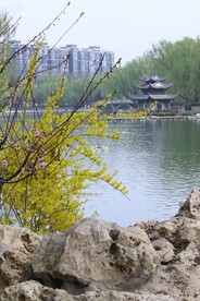 公园风景  