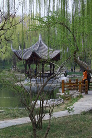 公园风景 