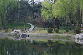 公园风景 