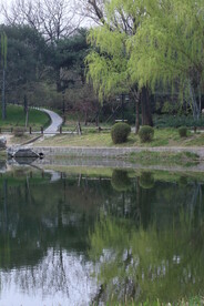 公园风景 