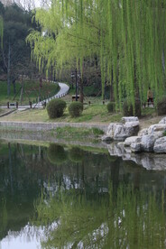 公园风景