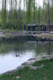公园风景 