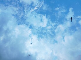 天空中的蜻蜓