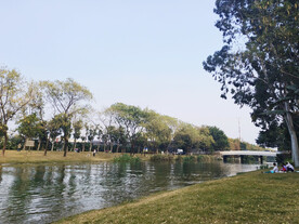 岸边游玩  