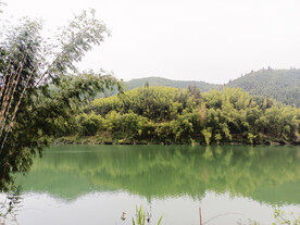 青山绿水