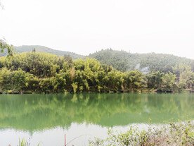青山绿水