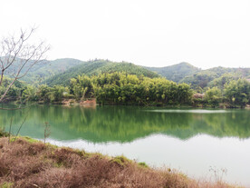青山绿水
