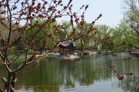 公园风景 