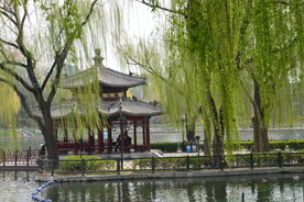 公园风景 