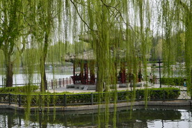 公园风景 