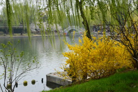 公园风景 