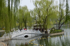 公园风景 