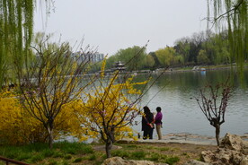 公园风景  