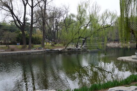 公园风景  