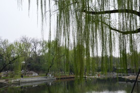 公园风景  